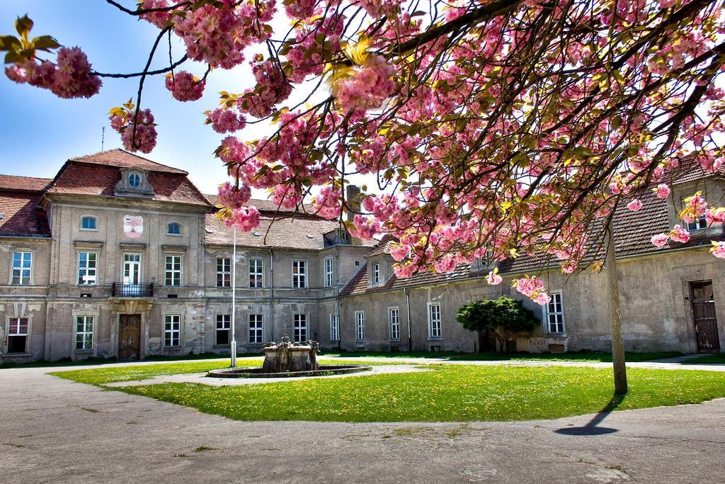 Gaestehaus Schloss Plaue ブランデンブルク エクステリア 写真